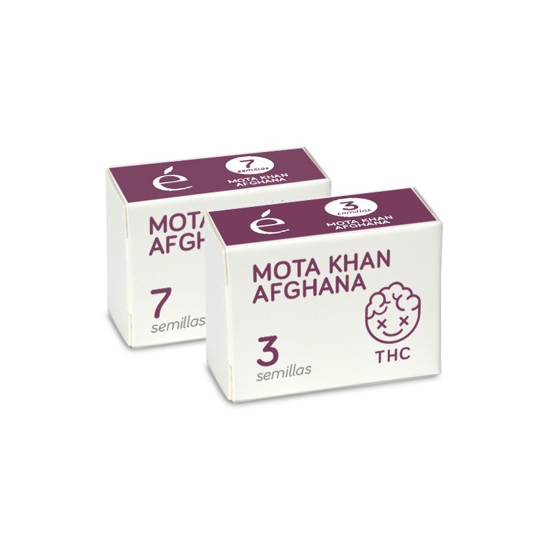 Mota khan Afghana